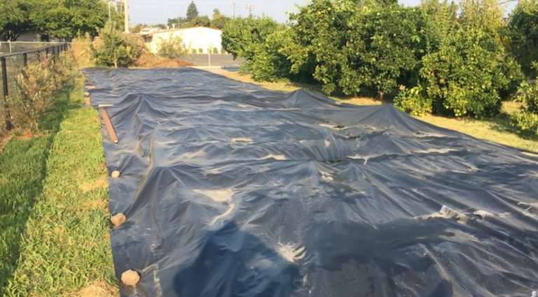 sheet mulching