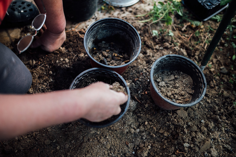 adding soil and compost to pot to plant wildflower seeds