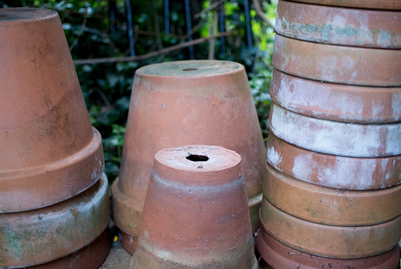 clay pots with holes- picking the right pot for growing wildflowers