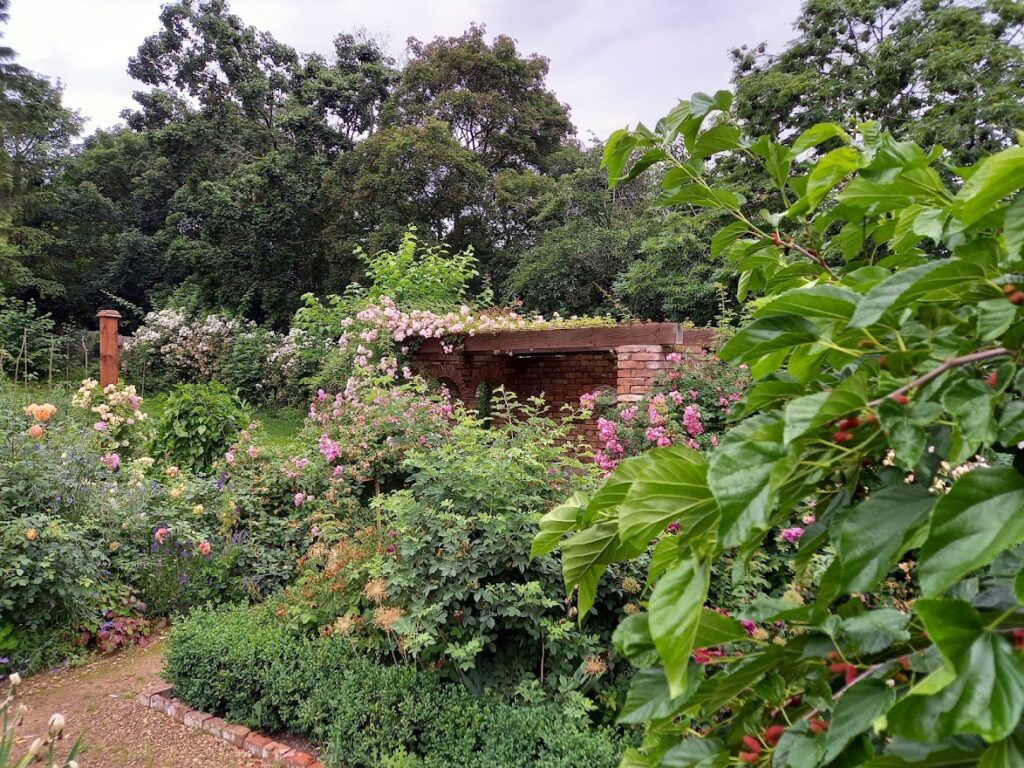 food forest garden