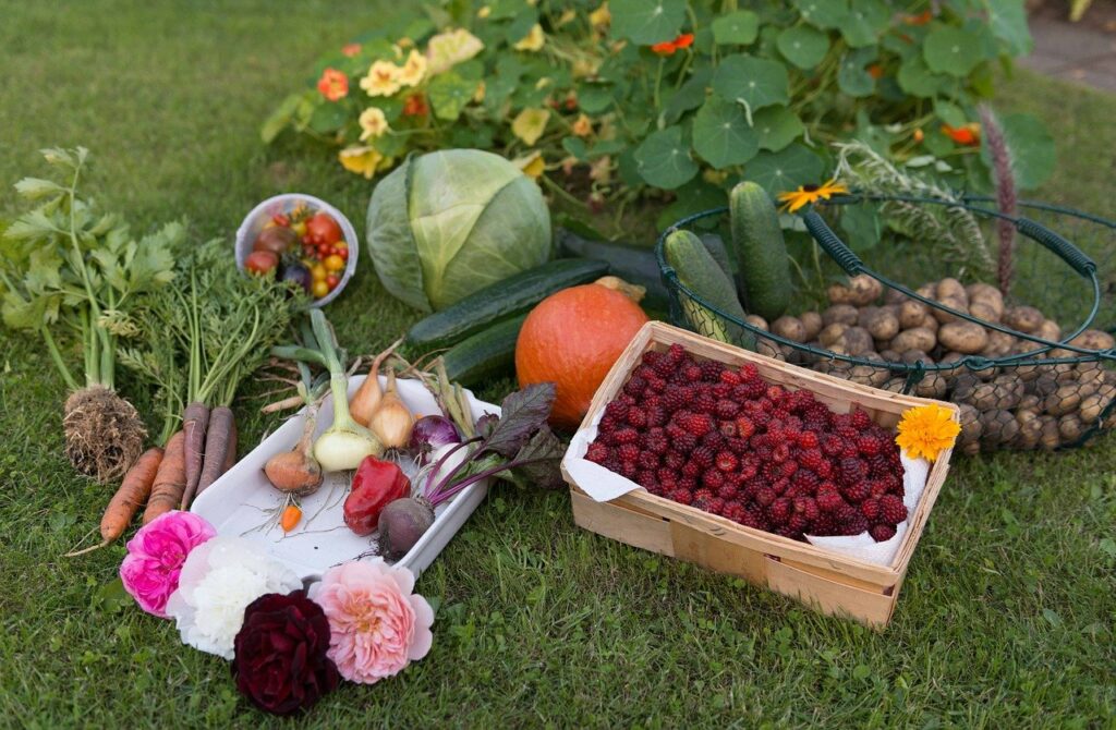 food forest produce