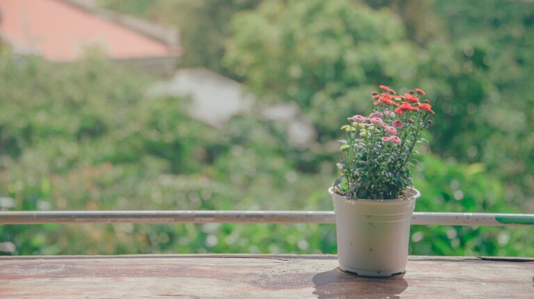 wildflowers in pot