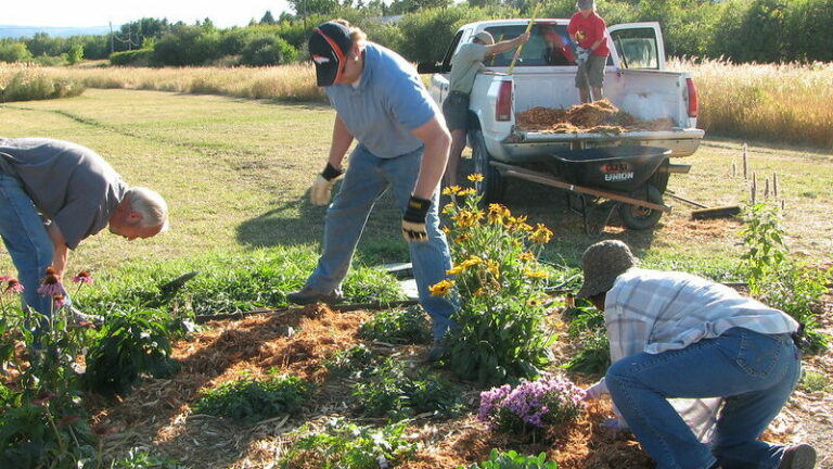 dealing with weeds in permaculture