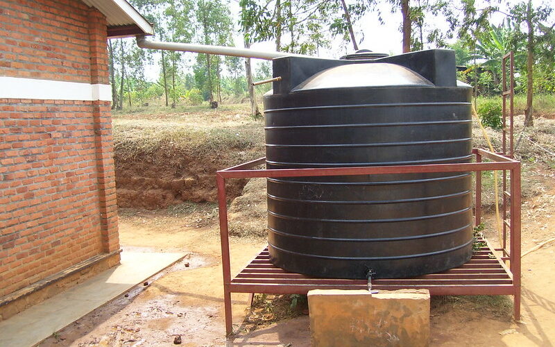 rainwater harvesting in permaculture