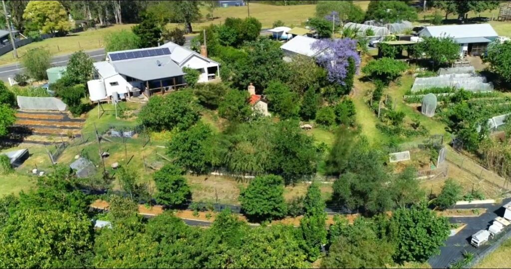 advantages and disadvantages of permaculture