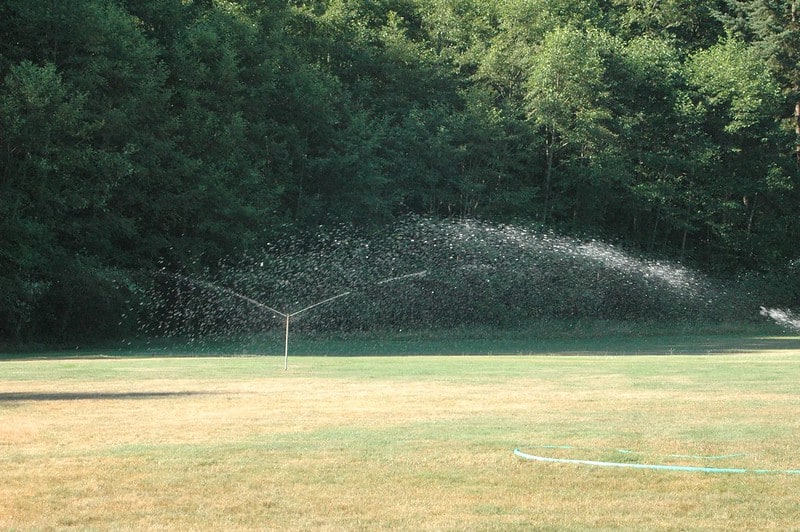 sprinkler