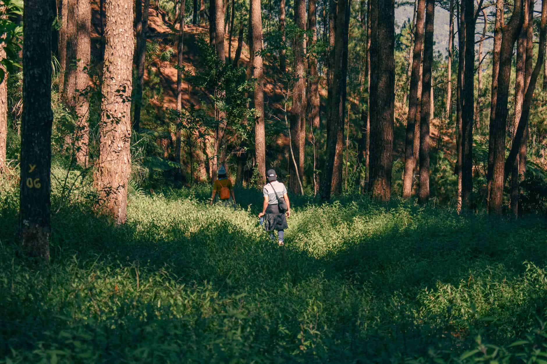 a woman and man walking in the forest