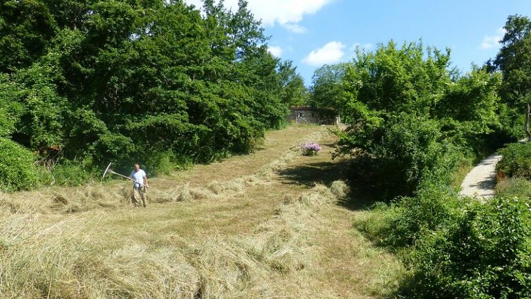 raking field