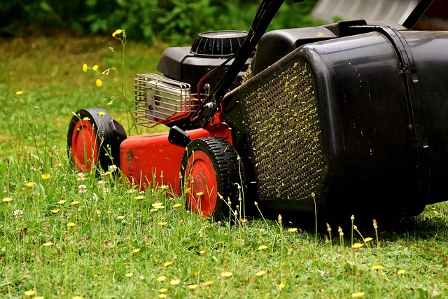 mowing wildflowers