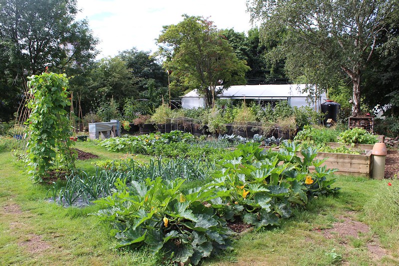 small Permaculture garden