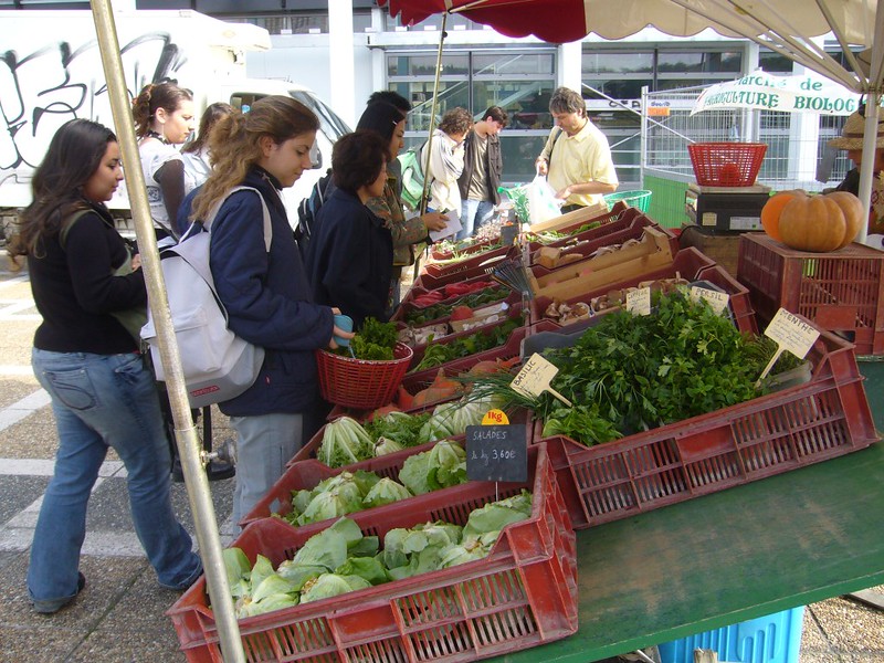organic farmer's market