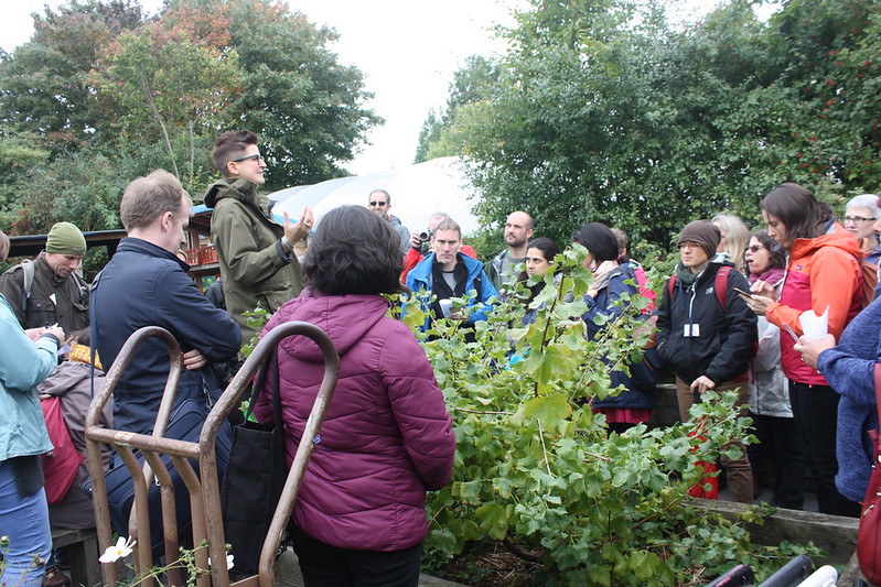 teaching permaculture