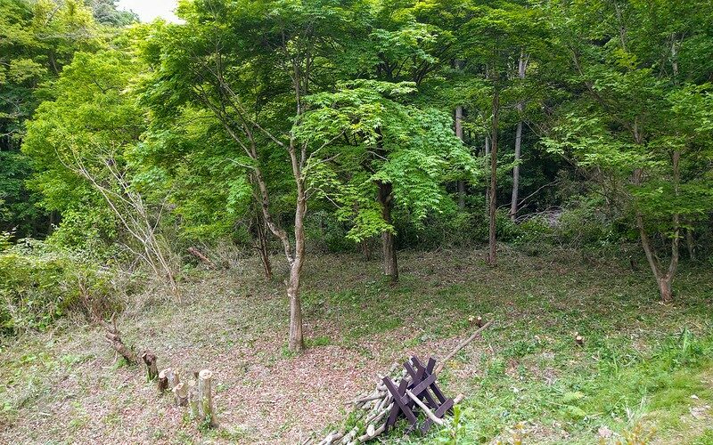 new uncultivated land