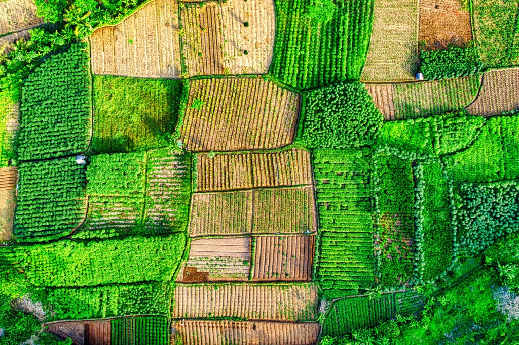 Diverse permaculture farm