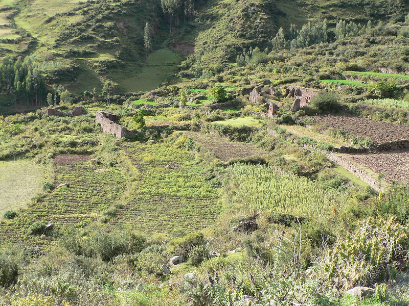 terraces