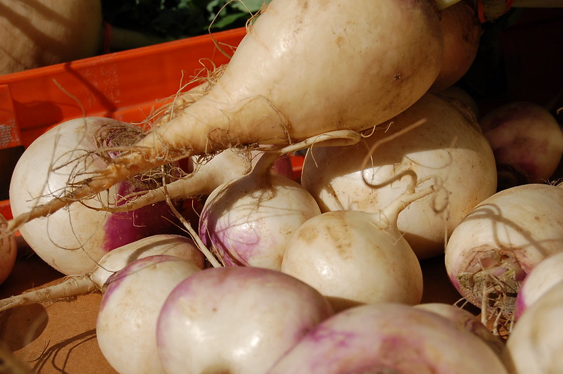Rutabaga (Brassica napus)