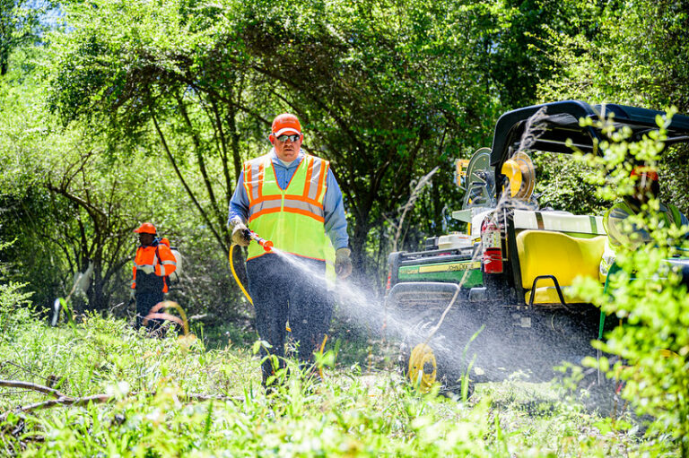 spraying herbicide to control weeds