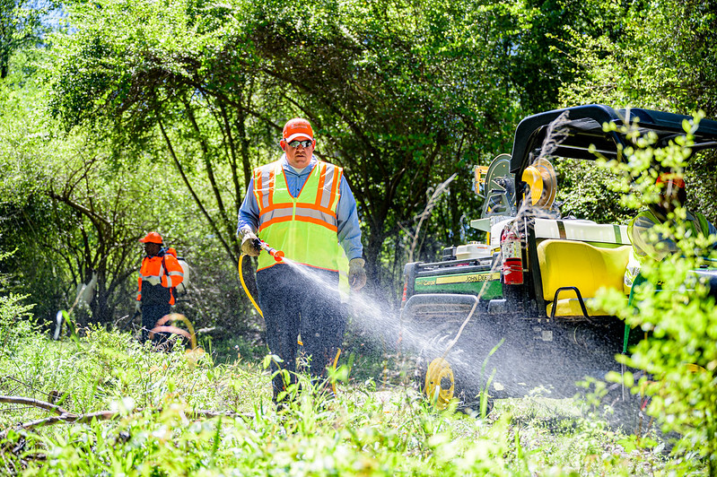 spraying herbicide to control weeds