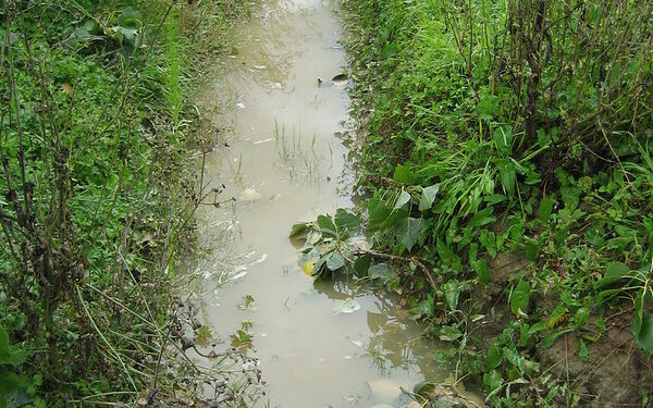 Swale with water