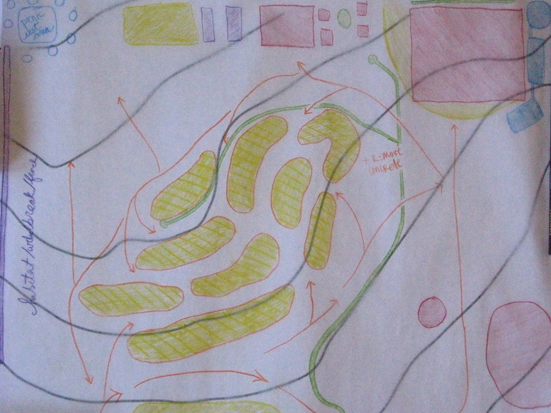 plan for planting along slope contours