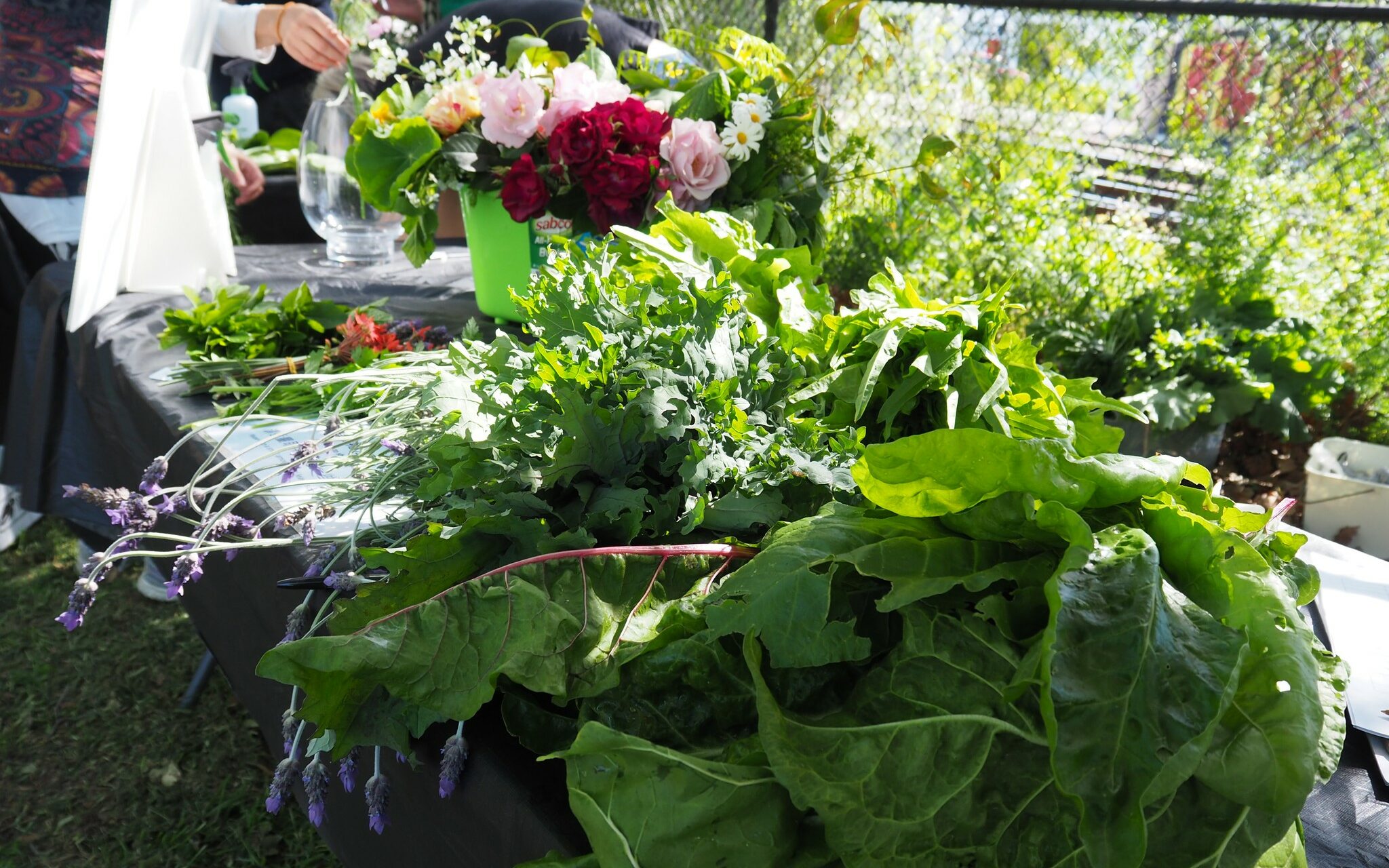 kensington community food forest.