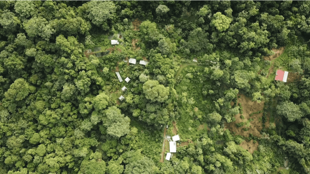 finca tierra permaculture course