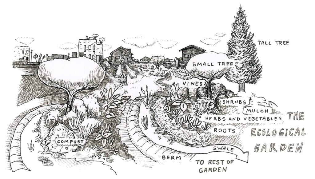 Artwork by Jackie Holmstrom, as visioned by Heather Jo Flores for her book Food Not Lawns
