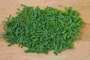 How to Propagate Plants Successfully Using Cuttings