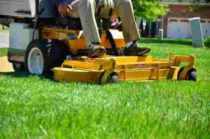 How to Overseed Your Lawn for Thicker Grass