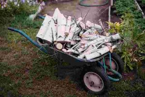 The Ultimate Guide to Mulching Your Garden