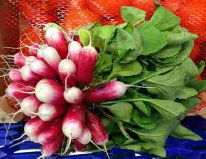 How to Extend Your Vegetable Gardening Season