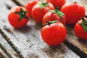 How to Protect Your Vegetable Garden from Pests Naturally