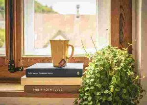 The Best Low-Maintenance Houseplants for Busy People
